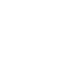 MS Logo White